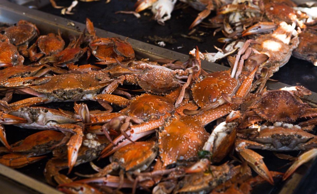 Steamed blue crabs at a local festival.