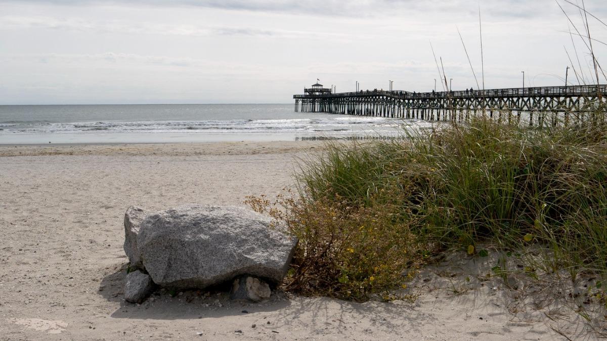 sand, ocean and rock along with some dune brush and the cherry grove fishing pier